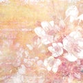 pink grunge ephemeral background with white floral branch border paisey mural design overlay print