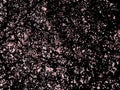 Pink Grunge Urban Background. Texture vector. Dust overlay distr Royalty Free Stock Photo