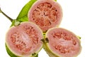 Pink Guava Fruit Royalty Free Stock Photo