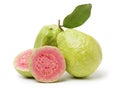 Pink guava fruit
