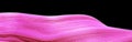 Pink Hair isolated over black background Shiny Healthy colored h
