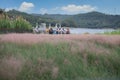 Pink hairawn muhly grass, Muhlenbergia Capillaris , Beautiful Pink hairawn muhly landscape Royalty Free Stock Photo