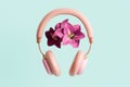 Pink headphones with flowers 3D illustration