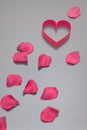 Pink heart and rose petals on a gray background.