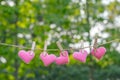 Pink heart shape decoration hanging on line with copy space for text on green nature background. Love, Wedding Romantic and Happy Royalty Free Stock Photo