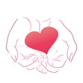 Pink heart in women contour hands