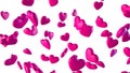 Pink hearts background. Isolated on white background. 3D render Royalty Free Stock Photo