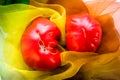 Pink heirloom tomato also called heritage tomato on cloth. Natural, homegrown, imperfect tomatoes. Royalty Free Stock Photo