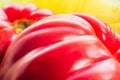 Pink heirloom tomato also called heritage tomato on cloth. Natural, homegrown, imperfect tomatoes macro photo. Royalty Free Stock Photo