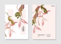Pink Heliconia exotic tropical australian flower card. Modern nature invite poster. Wild flower tropical seasonal art in vector,