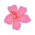 Pink hibiscus bud vector clipart Royalty Free Stock Photo