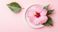 A pink hibiscus flower silhouette on a white background Royalty Free Stock Photo