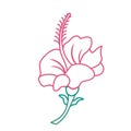 Pink Hibiscus Flower Tropic Vector