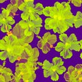 Pink Hibiscus Texture. Yellow Seamless Palm. Neon Flower Wallpaper. Purple Watercolor Decor. Orange Pattern Leaves. Green Tropical Royalty Free Stock Photo