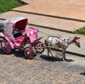 Pink horse-drawn carriage with a horse wearing a hat