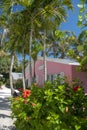 Pink house in width of tropical vegetation on Sanibel island, Florida