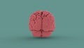 Pink human brain 3d image Royalty Free Stock Photo
