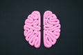 Pink human brain on black background flat lay. Intelligence concept. Hemispheres mockup, layout. Royalty Free Stock Photo