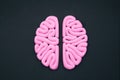 Pink human brain on black background flat lay. Intelligence concept. Hemispheres mockup, layout.