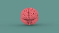 Pink human brain 3d image Royalty Free Stock Photo