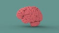 Pink human brain 3d image Royalty Free Stock Photo