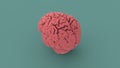 Pink human brain 3d image Royalty Free Stock Photo