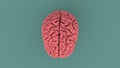 Pink human brain 3d image Royalty Free Stock Photo