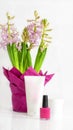 Pink hyacinth flower with cosmetics, white background