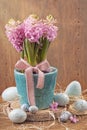 Pink hyacinths