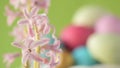 Pink hyacinths in front rotating Easter eggs