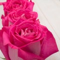 Pink hybrid tea roses