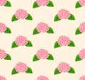 Pink Hydrangea Flower Seamless on Beige Ivory Background. Vector Illustration.