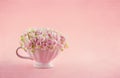 Pink hydrangea flowers Royalty Free Stock Photo