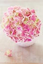Pink hydrangea flowers Royalty Free Stock Photo