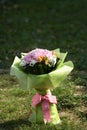 Pink Hydrangea hydrangea hortensia bundle Royalty Free Stock Photo