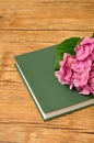 A pink hydrangea on top of a green story book