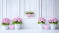Pink hydrangeas are arranged in white pots alongside heart-shaped decorations in a bright, minimalist interior Royalty Free Stock Photo
