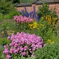 Pink Impatiens, blue Delphiniums, yellow Achillea, in Chartwell