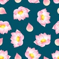 Pink Indian lotus on Green Teal Background. Nelumbo nucifera,sacred lotus, bean of India, Egyptian bean.