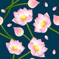 Pink Indian lotus on Indigo Blue Background.