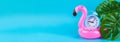 Pink inflatable flamingo on blue background with monstera leaves and clock. Royalty Free Stock Photo