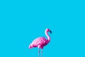 pink inflatable flamingo over blue background, vacation concept.