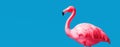 pink inflatable flamingo over blue background, vacation concept, panoramic layout