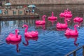 Pink inflatable flamingos in the New Holland Park