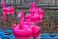 Pink inflatable flamingos in the New Holland Park