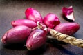 Pink italian onion braid Royalty Free Stock Photo