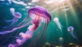 Pink jellyfish floats in dark sea water. Mauve Stinger, Pelagia noctiluca. Underwater life