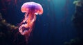 a pink jellyfish swims along in the water,