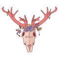 Pink kawaii cartoon deer skull animal illustration. Cute girly doe with flower antler. Childish hand drawn doodle style Royalty Free Stock Photo