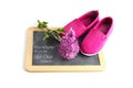 Pink kid shoes and a flower on a writing blackboard isolated on